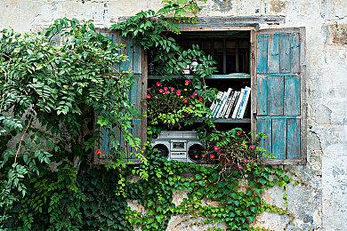 农场模拟《丰饶之月：一个世界》现已在Steam发售